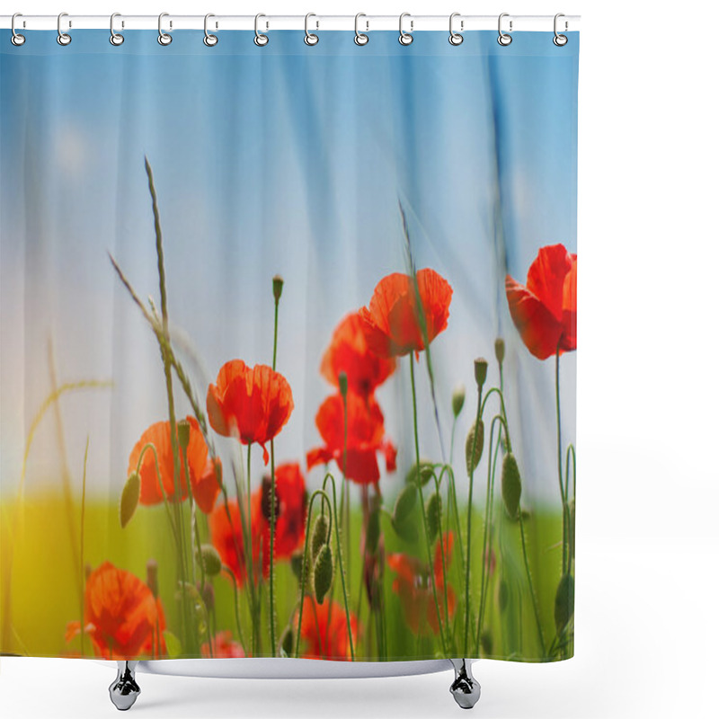 Personality  Red Poppy Flowers Shower Curtains