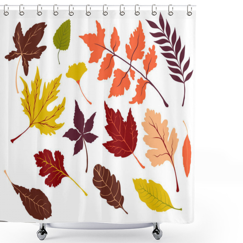 Personality  Set Of Vector Autumn Bright Leaves. Collection Of Maple, Oak And Other Leaves   Shower Curtains