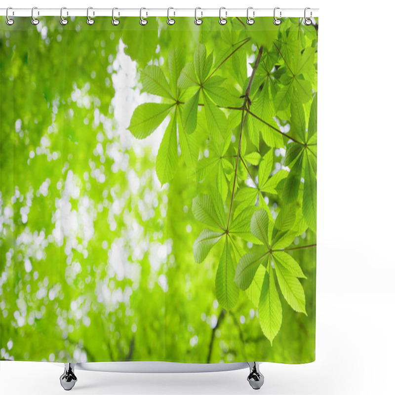 Personality  Green Chestnut Leaves Shower Curtains