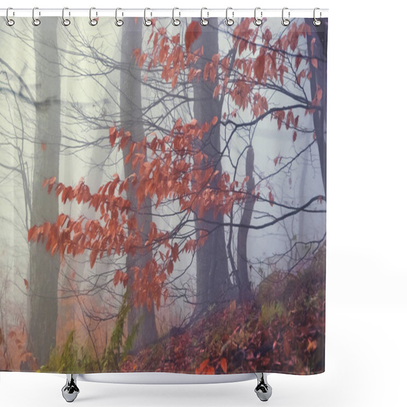 Personality  Mysterious Foggy Autumn Forest On The Mountain Slope. Shower Curtains