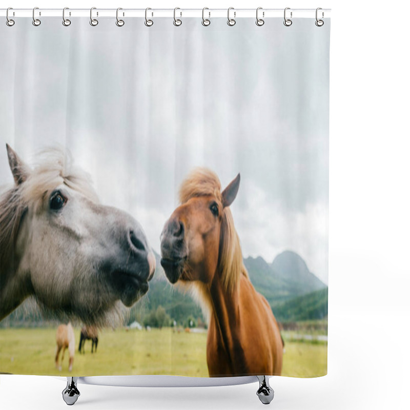 Personality  Wildlife In Norway. Scandinavian Fjord Beautiful Horses On Pasture Eat Grass On Field In Summer Rainy Weather. Cloudy Sky. Mountains On Background. Rocks. Funny Mammal Animals. Rural. Travel. Nature. Shower Curtains