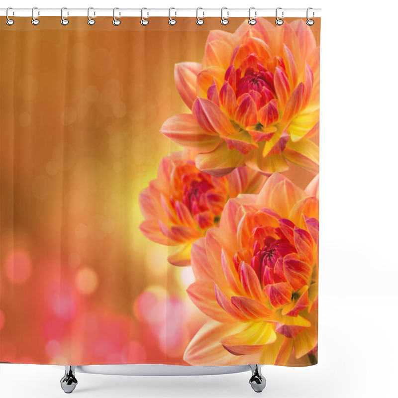 Personality  Dahlia Flowers Shower Curtains