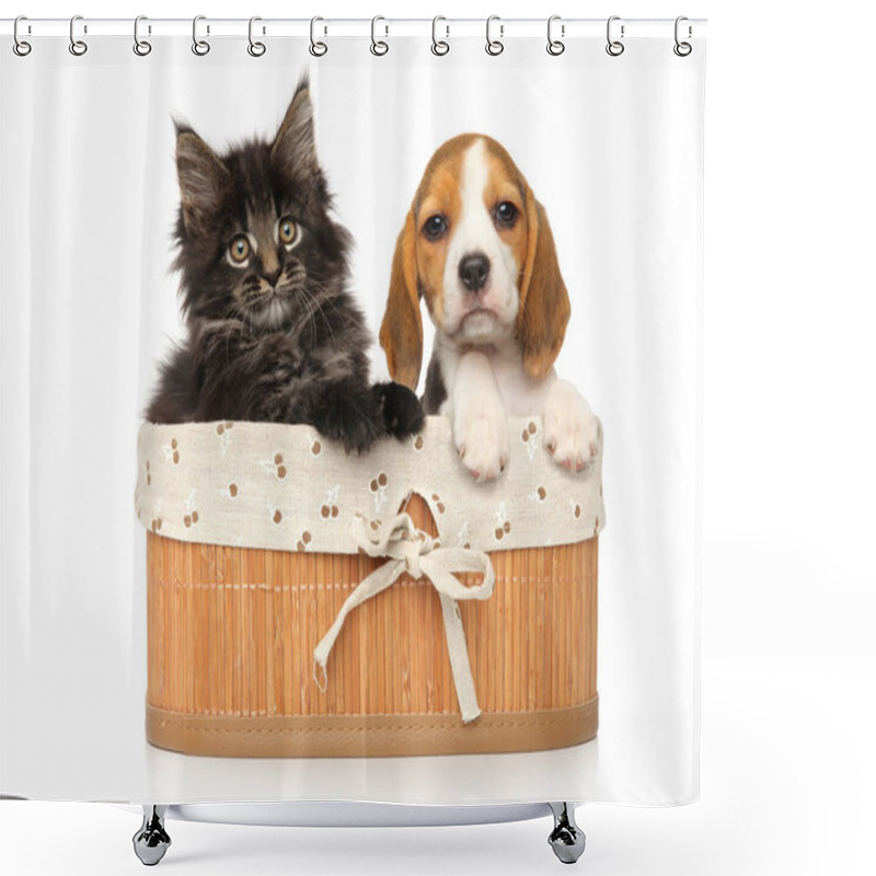 Personality  Maine-coon Kitten And Beagle Puppy Together In Basket On A White Background Shower Curtains