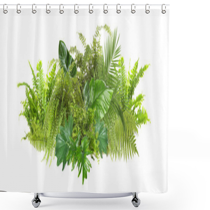 Personality  Beautiful Composition With Fern And Other Tropical Leaves On White Background. Banner Design Shower Curtains