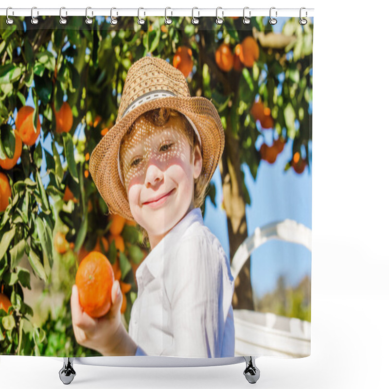 Personality  Portrait Of Attractive Cute Young Boy Picking Mandarins At Citrus Farm On Sunny Summer Day Shower Curtains