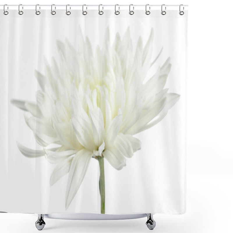 Personality  Beautiful White Chrysanthemum Flower Shower Curtains