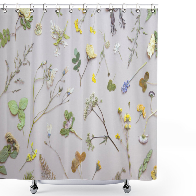 Personality  Various Dried Flowers And Leaves On Pastel Background. Flat Lay. Shower Curtains