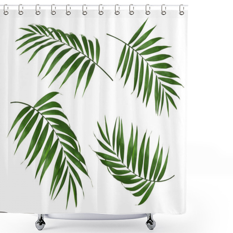 Personality  Set Of Tropical Leaves On White Background Shower Curtains