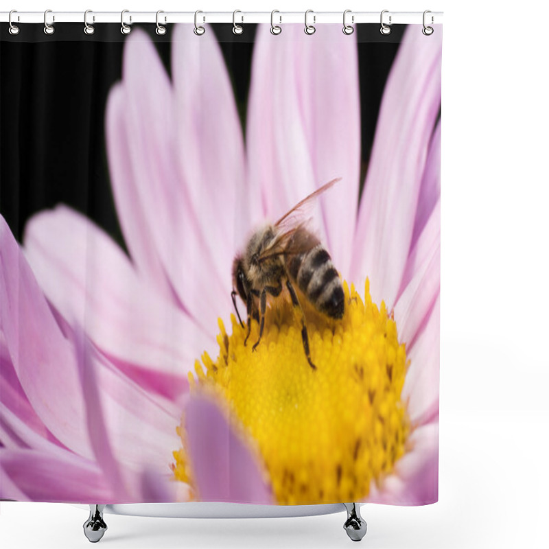 Personality  Honeybee Shower Curtains