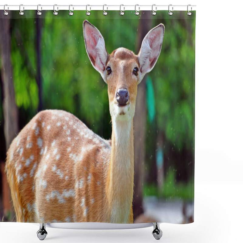 Personality  Sika Deer Shower Curtains