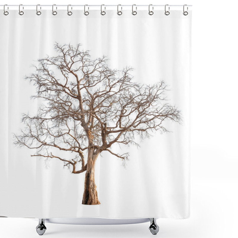 Personality  Old And Dead Tree Isolated On White Background Shower Curtains