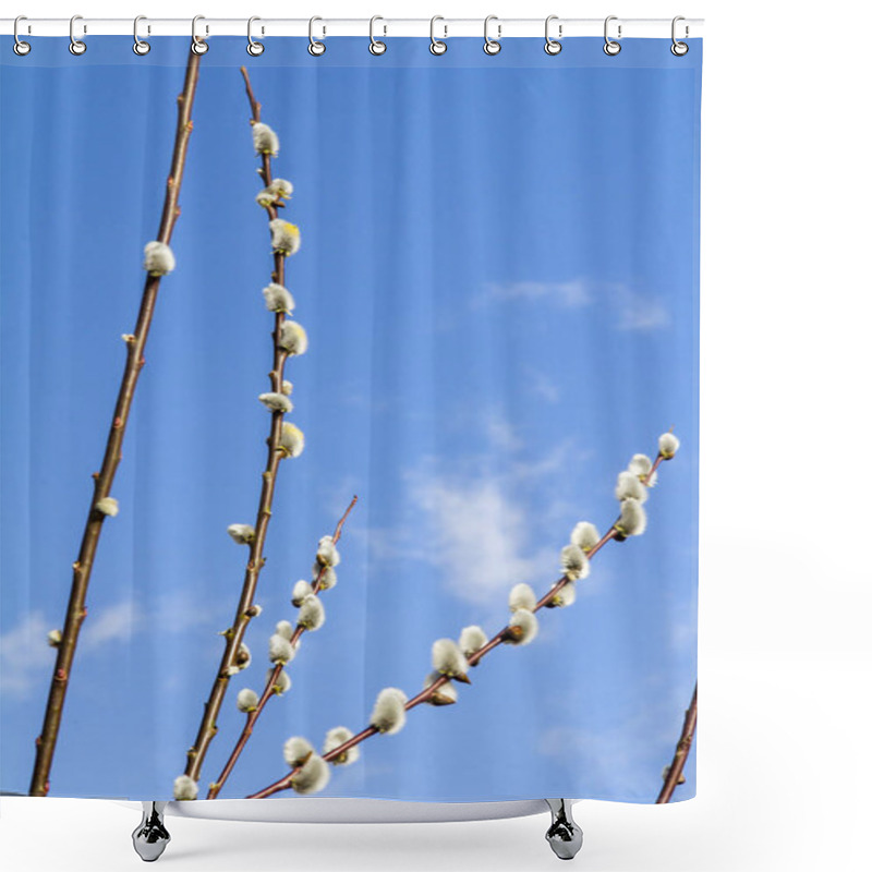 Personality  Catkins On Twigs Shower Curtains