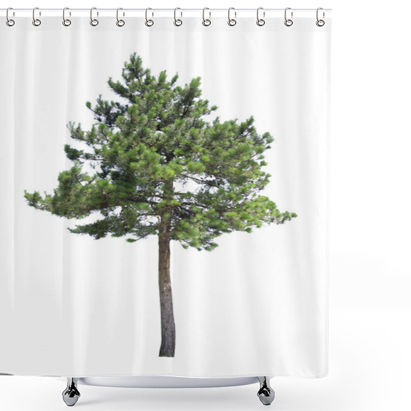 Personality  Pine Tree Shower Curtains