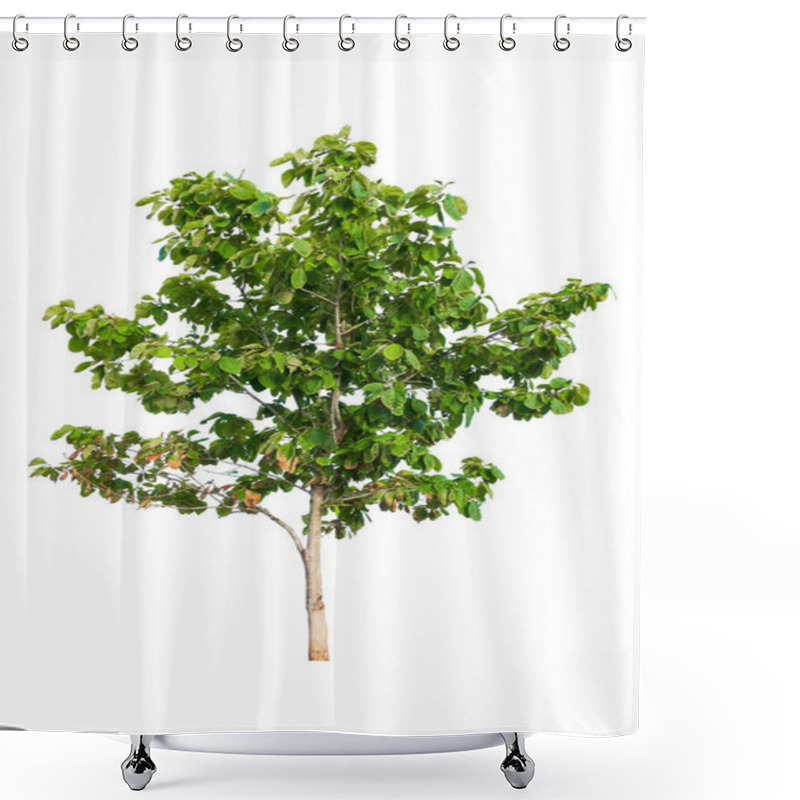 Personality  Tree Teak And Leaf Beautiful Isolated On White Background Shower Curtains