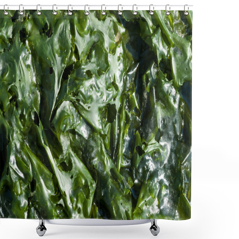 Personality  Green Leaves Of Sea Lettuce Shower Curtains