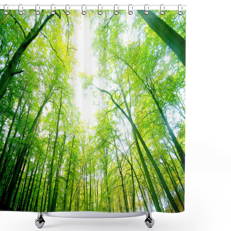 Personality  Green Forest Shower Curtains