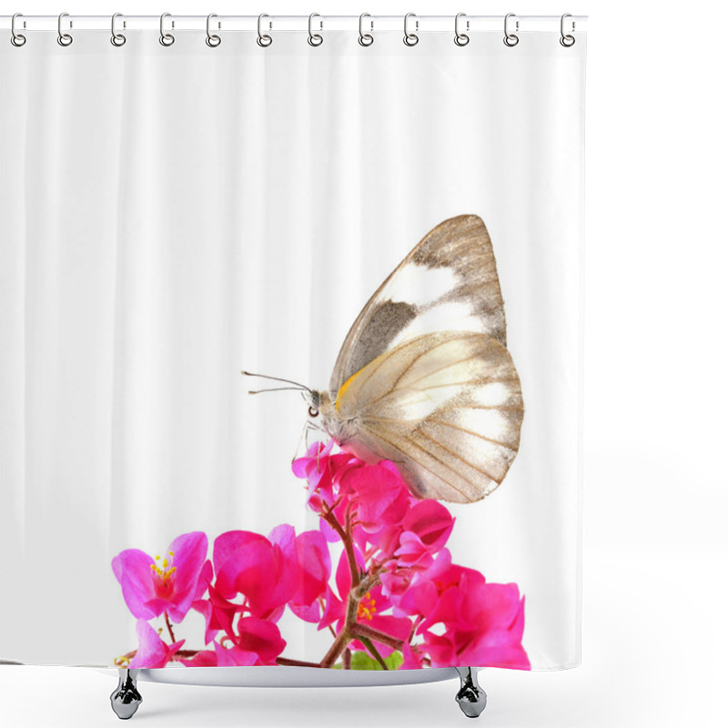 Personality  Butterfly And Pink Flower Isolate On White Shower Curtains