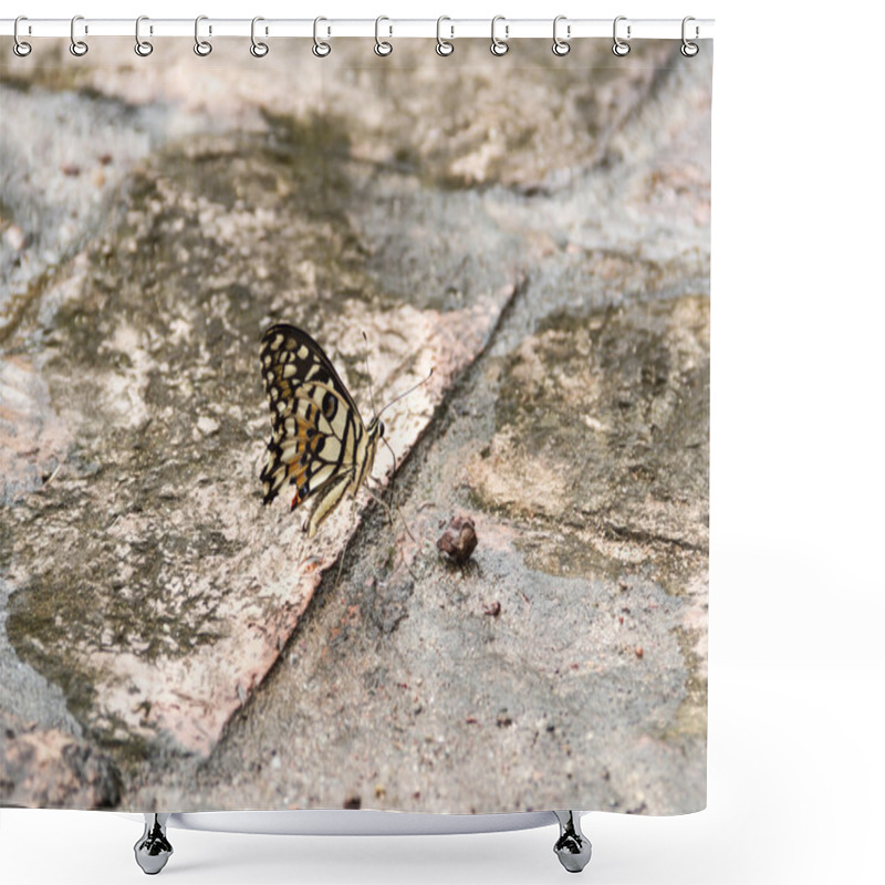 Personality  Walking Butterfly Camouflaged On The Ground Shower Curtains