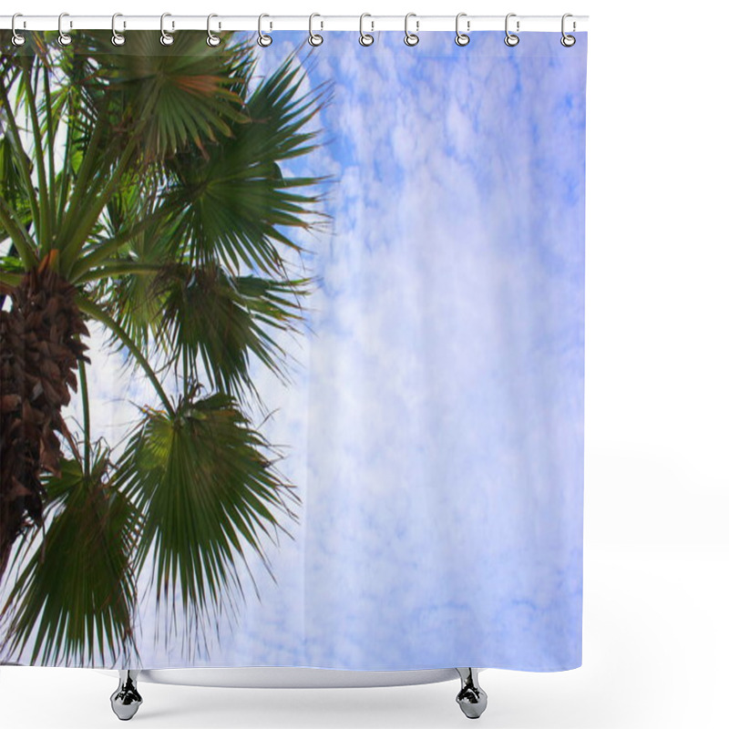 Personality  Green Palm Tree Against The Blue Sky On A Sunny Day. Summer Holiday. Copy Space. Shower Curtains