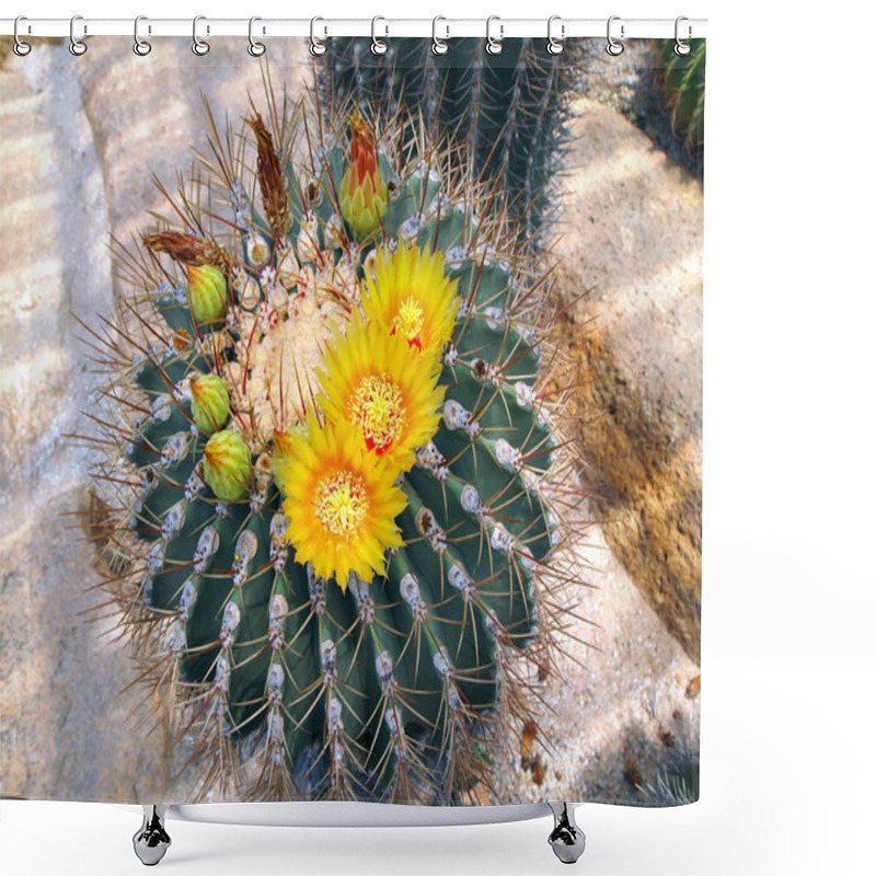 Personality  Blooming Cactus Shower Curtains