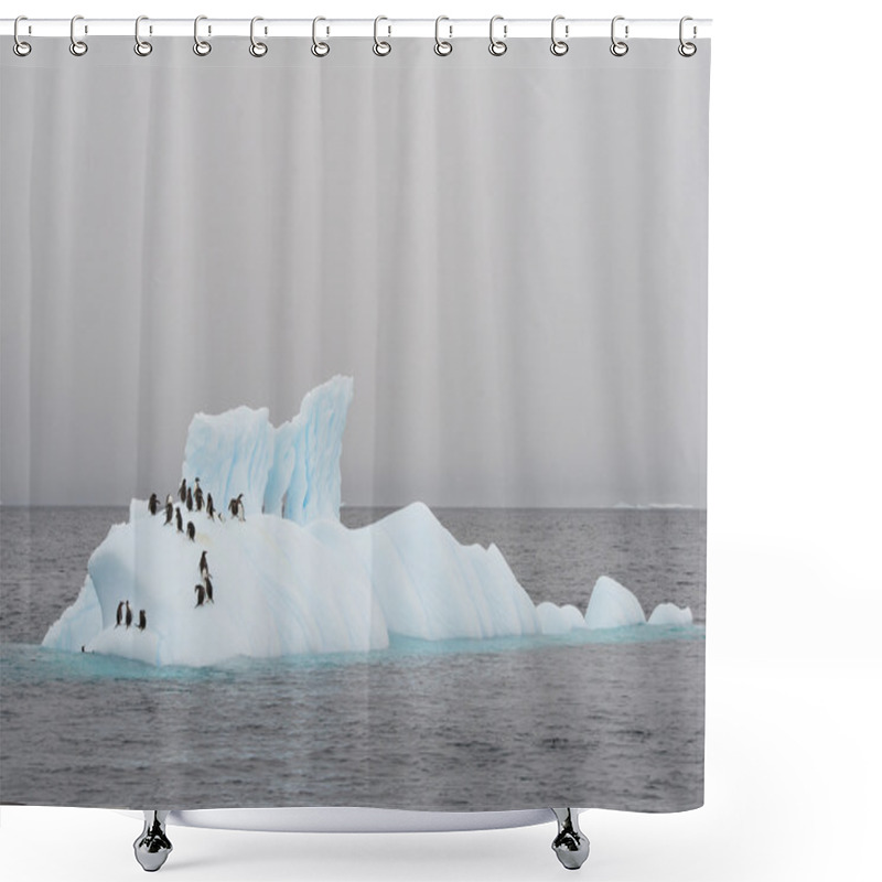 Personality  Group Of Gentoo Penguins On The Floating Iceberg Shower Curtains