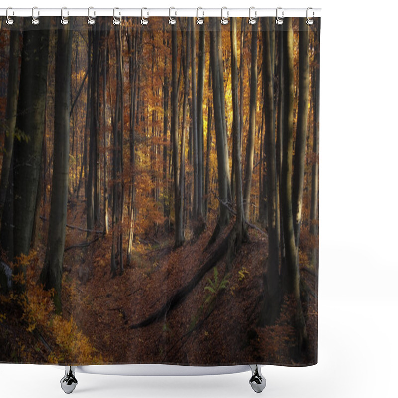 Personality  Autumn Light In Forest Shower Curtains