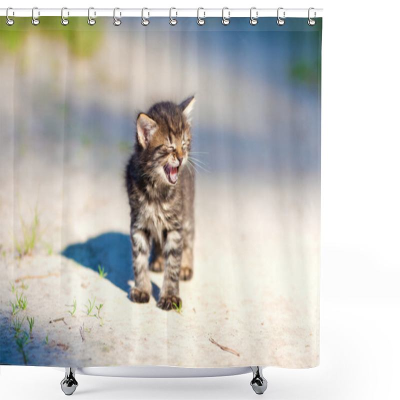 Personality  Little Kitten Staying On The Sandy Road Shower Curtains