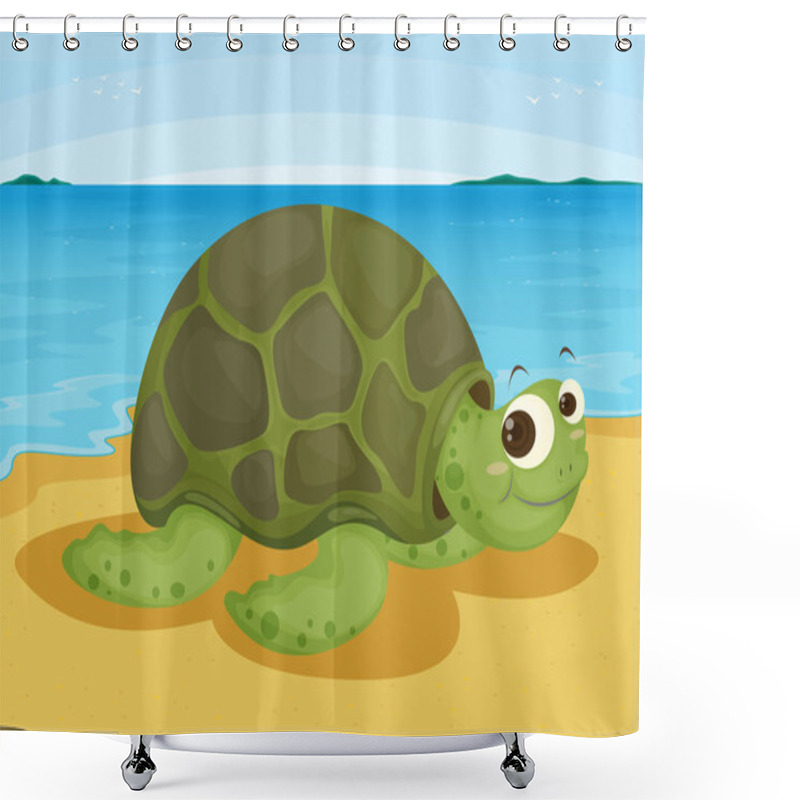 Personality  Tortoise On Sea Shore Shower Curtains