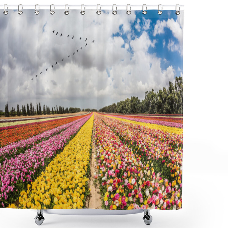 Personality   Over The Field Flying Migratory Birds Shower Curtains