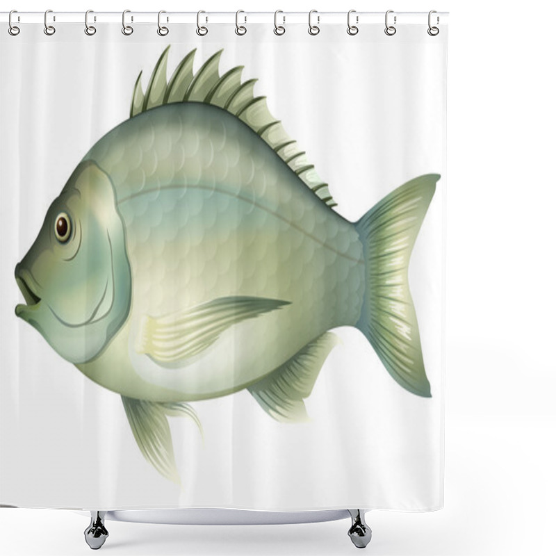 Personality  Acanthopagrus Butcheri Shower Curtains