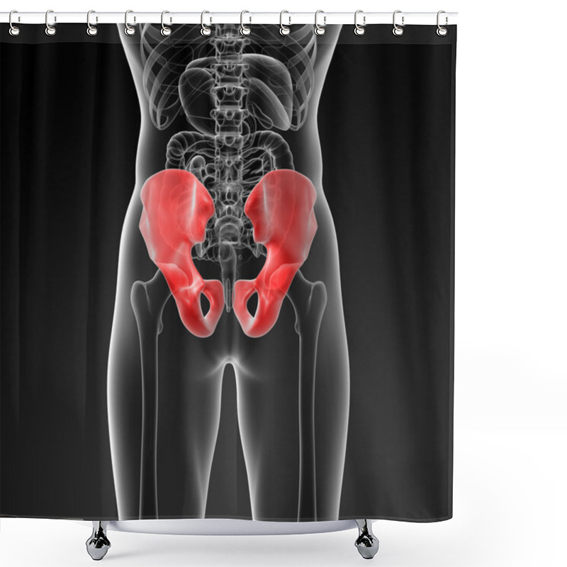 Personality  3d Render Illustration Pelvis Bone Shower Curtains