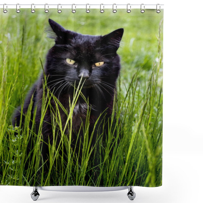 Personality  Black Cat Relaxing In The Grass Shower Curtains