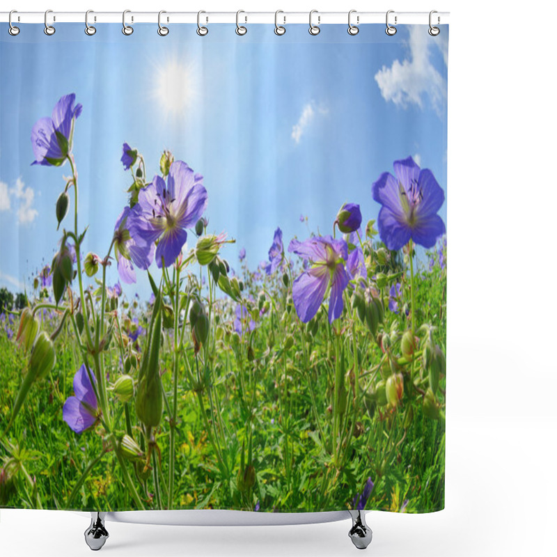 Personality  Summer Meadow With Flowers Geranium Pratense Shower Curtains