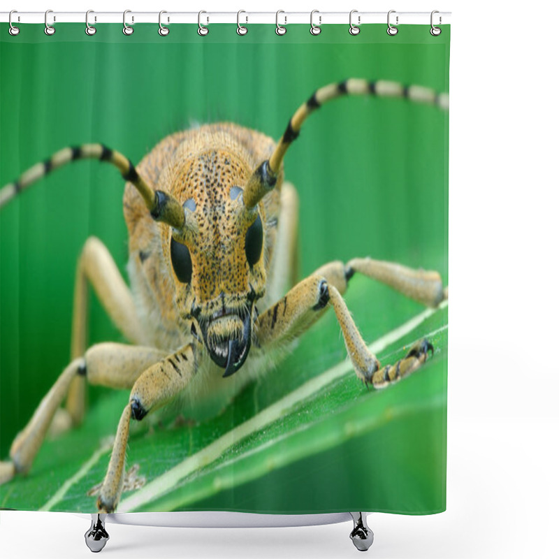 Personality  Macro Photography Of Insect  Shower Curtains