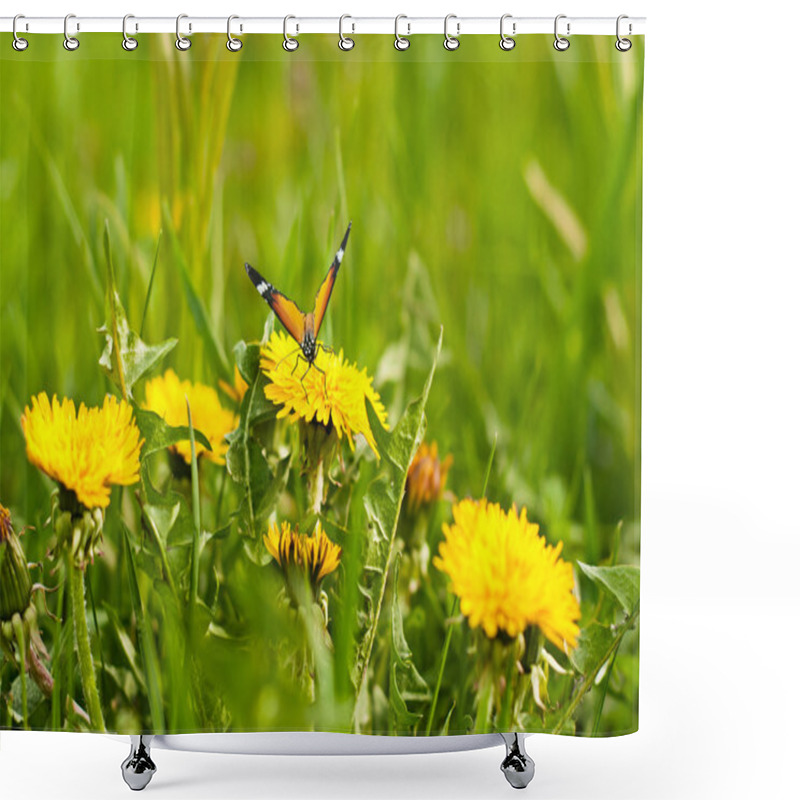 Personality  Meadow Of Yellow Dandelions And Butterfly Shower Curtains