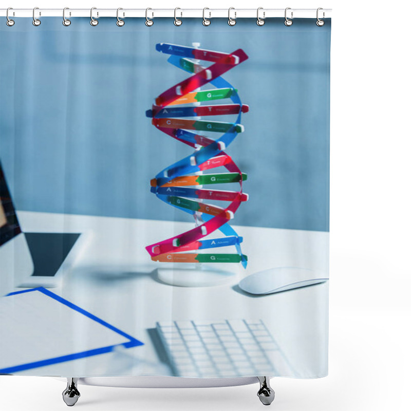 Personality  Model Of Dna Structure Near Computer Mouse On Desk In Laboratory Shower Curtains