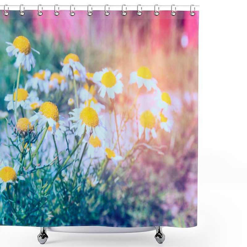 Personality  Garden With Daisies Flowers Shower Curtains