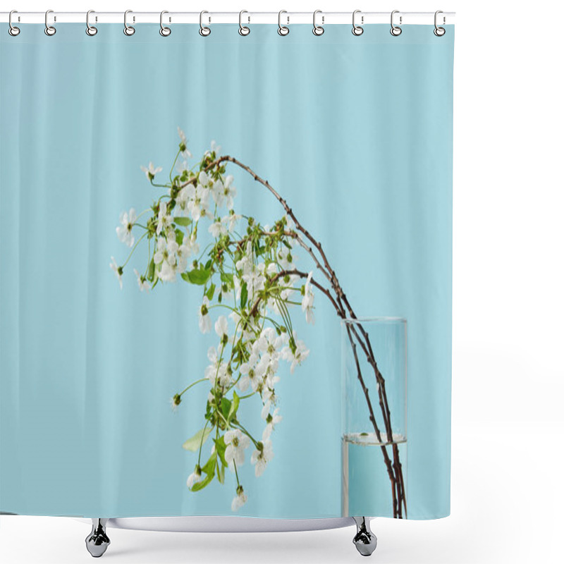 Personality  Close-up Shot Of Branches Of White Cherry Flowers In Vase Isolated On Blue Shower Curtains