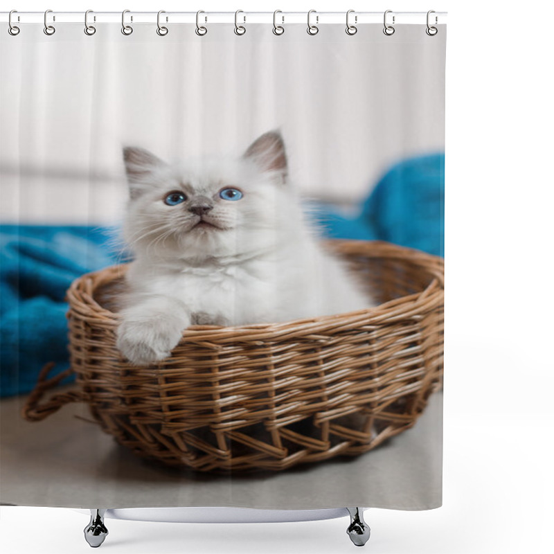 Personality  Ragdoll Blue Point Little Kitten  Shower Curtains