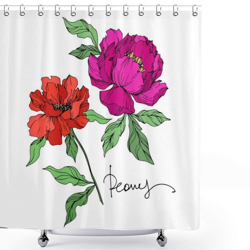 Personality  Peony Floral Botanical Flowers. Black And White Engraved Ink Art. Isolated Peonies Illustration Element. Shower Curtains