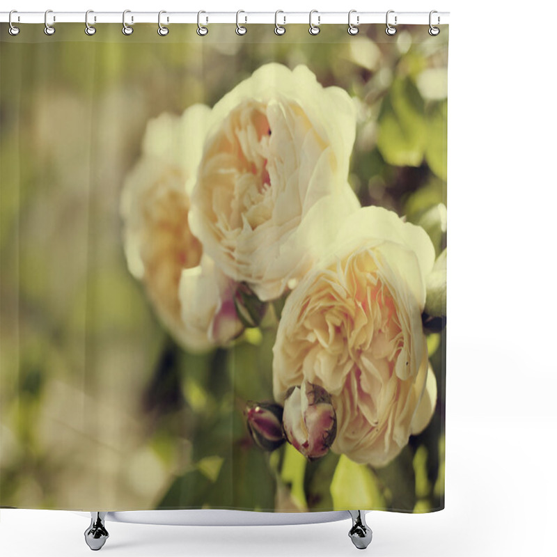 Personality  Yellow Roses Shower Curtains