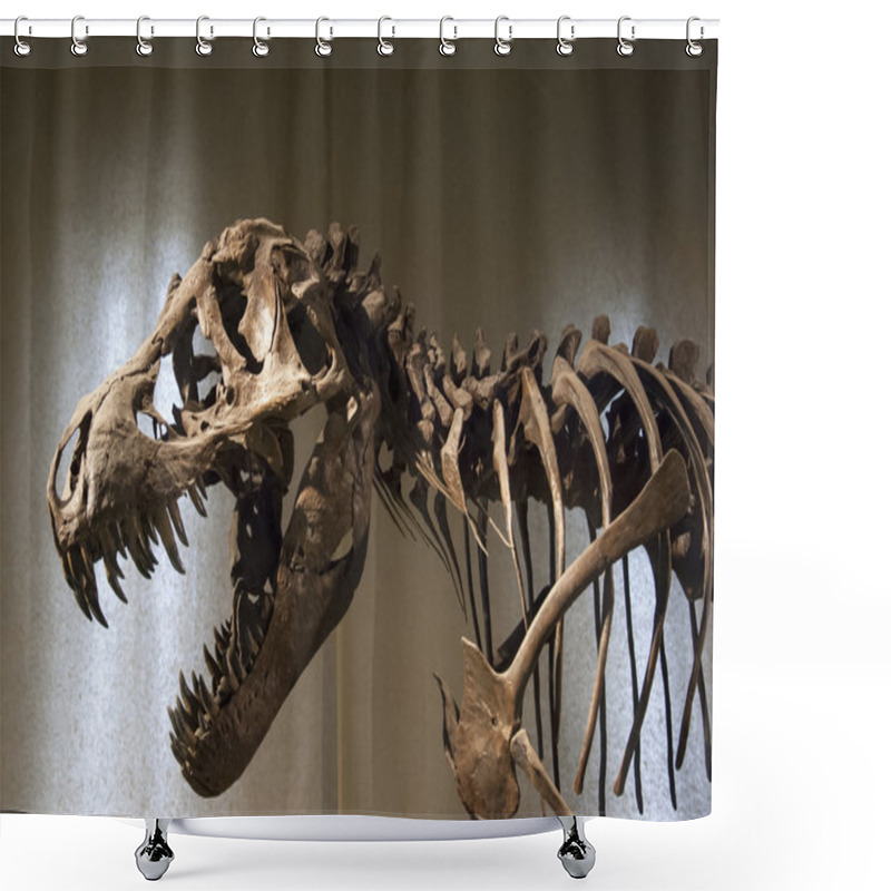 Personality  Tyrannosaurus Rex Skeleton Shower Curtains