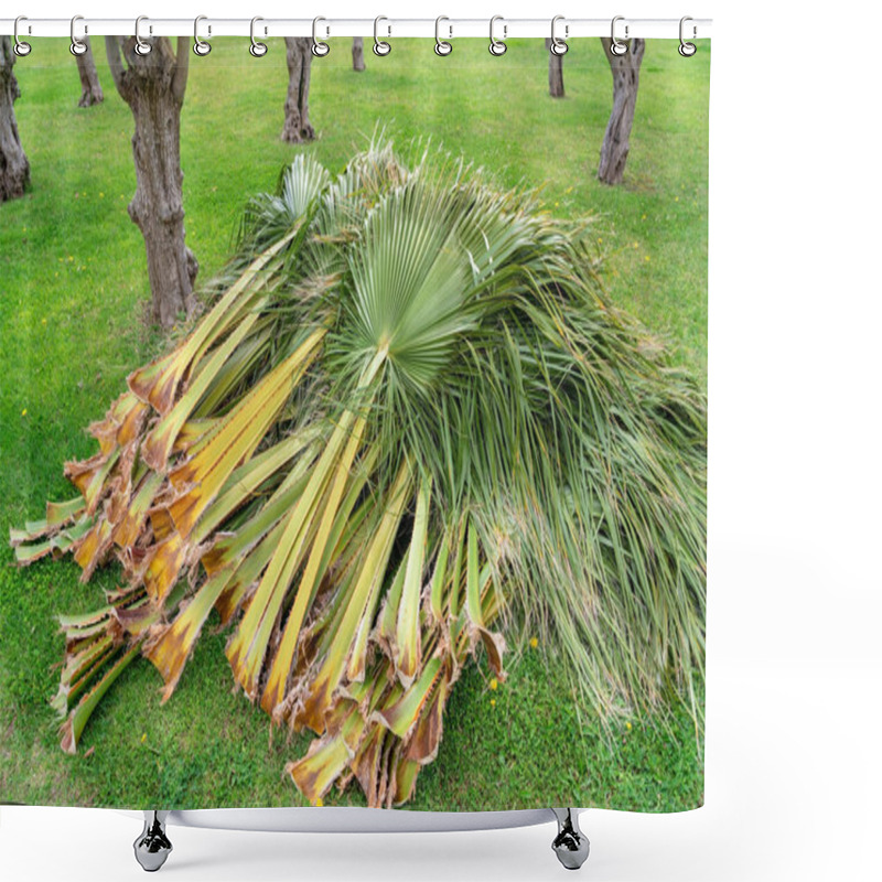 Personality  Palm Branches Leaves Trimmed By A Gardener, Cleaning And Cutting Palm Trees. Lying On A Grassy Lawn. Shower Curtains