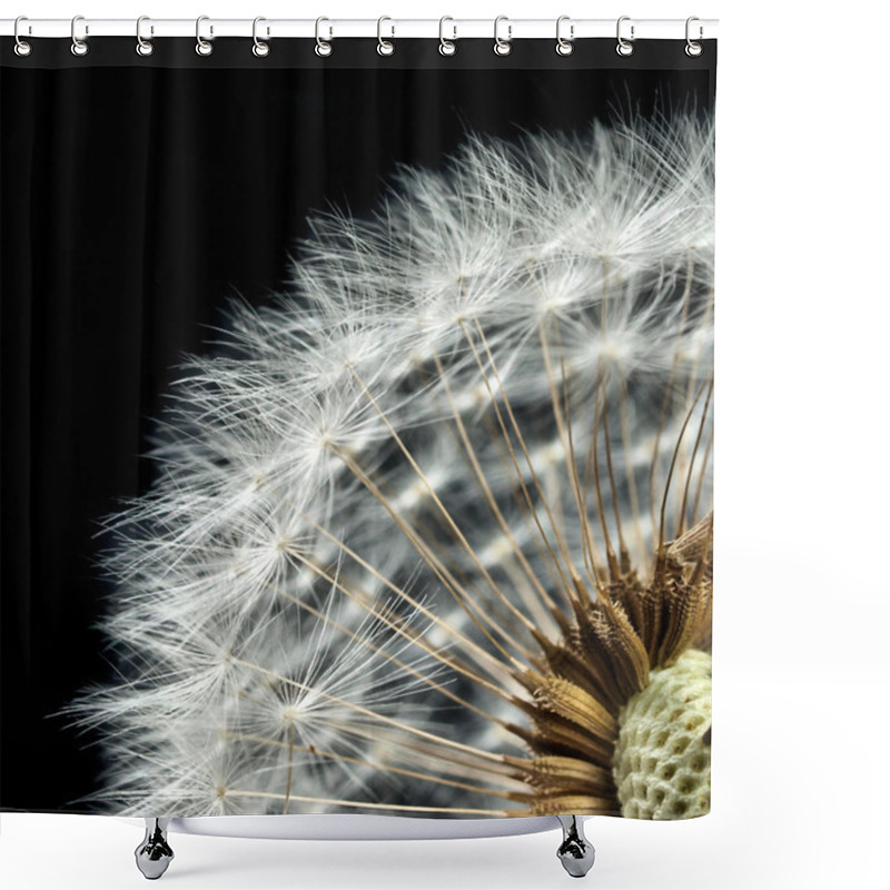 Personality  Close-up Of Dandelion Seed Head Shower Curtains