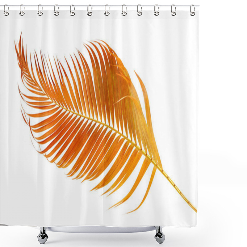 Personality  Yellow Palm Leaves (Dypsis Lutescens) Or Golden Cane Palm, Areca Palm Leaves, Tropical Foliage Isolated On White Background With Clipping Path Shower Curtains