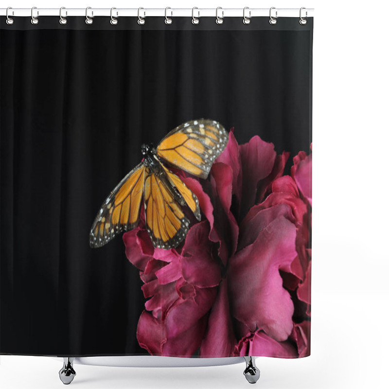 Personality  A Monarch Butterfly On A Purple Flower, Against Black Background. Shower Curtains