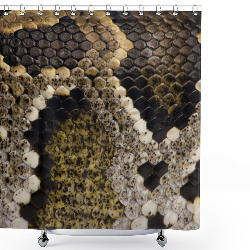 Personality  Close-up Of Python Regius' Snakeskin Shower Curtains