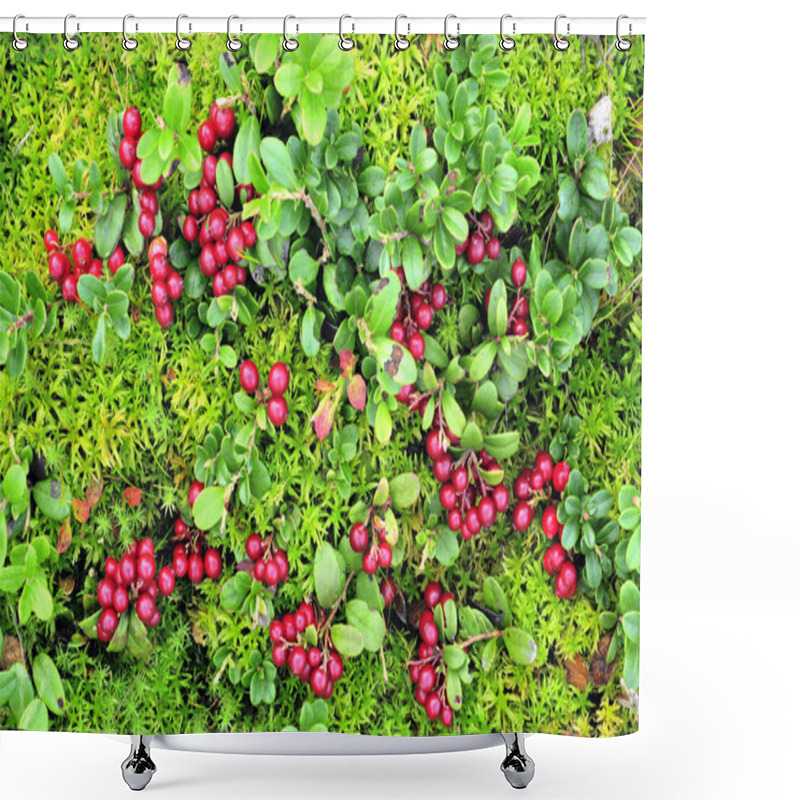 Personality  Cowberry Carpet Shower Curtains