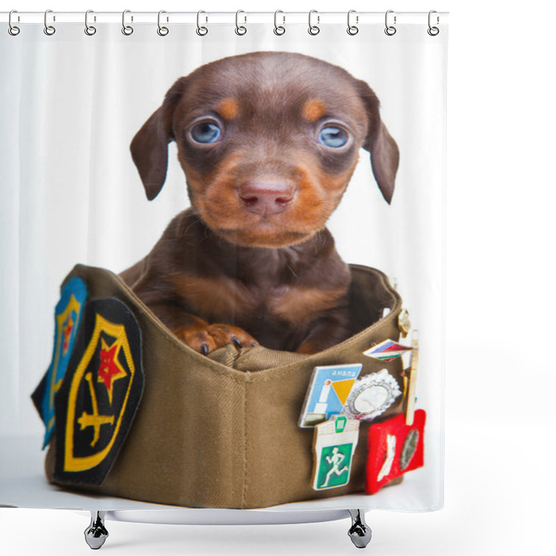 Personality  Puppy In Russian Hat Shower Curtains