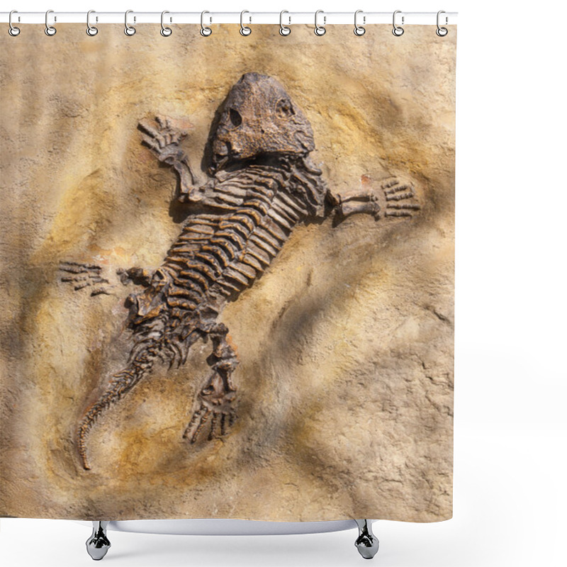 Personality  Lizard Fossil On Yellow Stone Background Shower Curtains